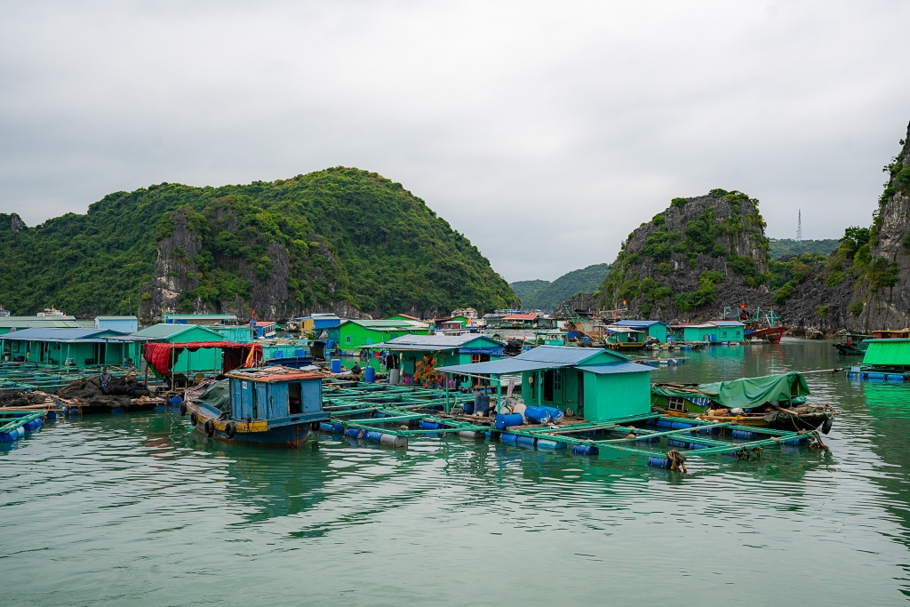 Fishing Village in Ha Long Bay